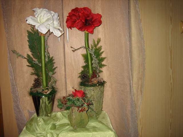 Bild 30