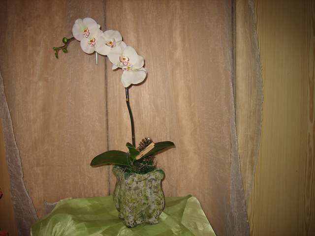 Bild 30