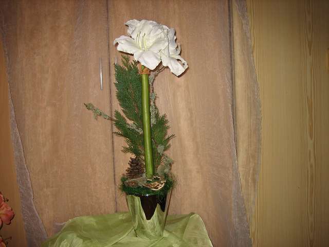 Bild 30