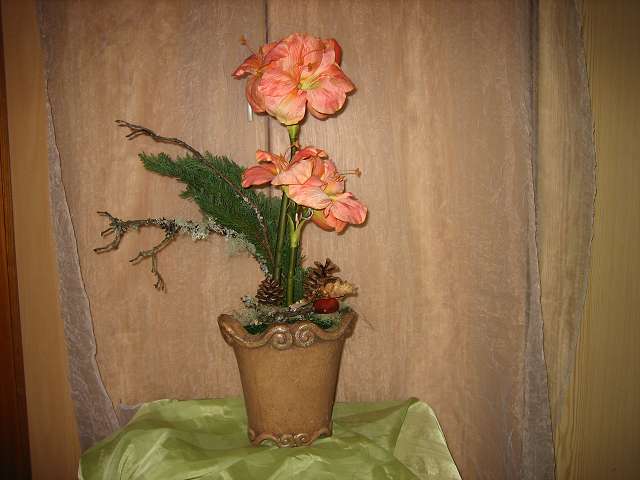 Bild 30