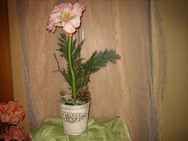 Bild 30