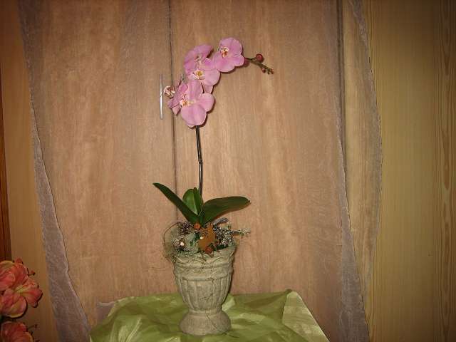 Bild 30