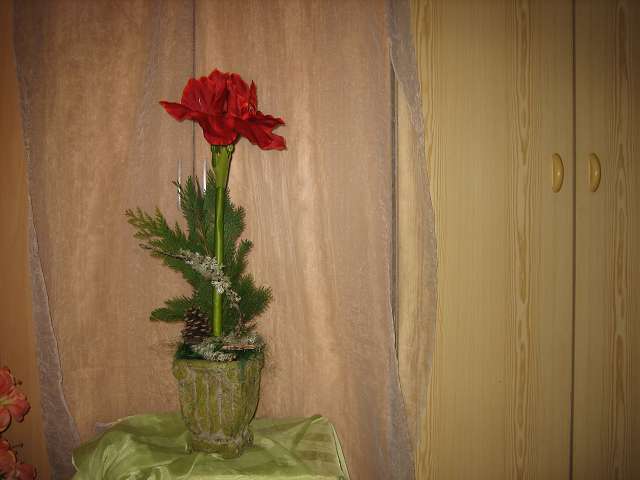 Bild 30
